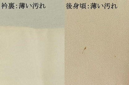 平和屋着物■長襦袢　無双仕立て　手描き　草花文　暈し染め　洗える着物　AABG1862fy