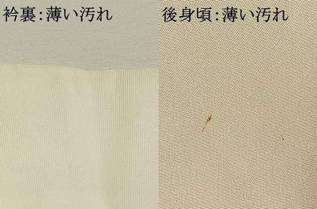 平和屋着物■長襦袢　無双仕立て　手描き　草花文　暈し染め　洗える着物　AABG1862fy