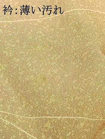 平和屋着物■上質な小紋　草花文　暈し染め　正絹　逸品　AABG1870fy