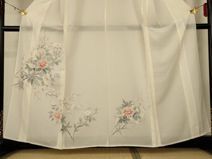 平和屋着物＊夏物 訪問着 絽 手描き 草花文 正絹 逸品 未使用 AABG2013jd