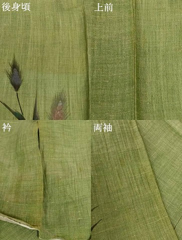 平和屋着物＊夏物 小千谷ちぢみ 訪問着 作家物 手描き 草花文 麻 逸品 AABG2021jd