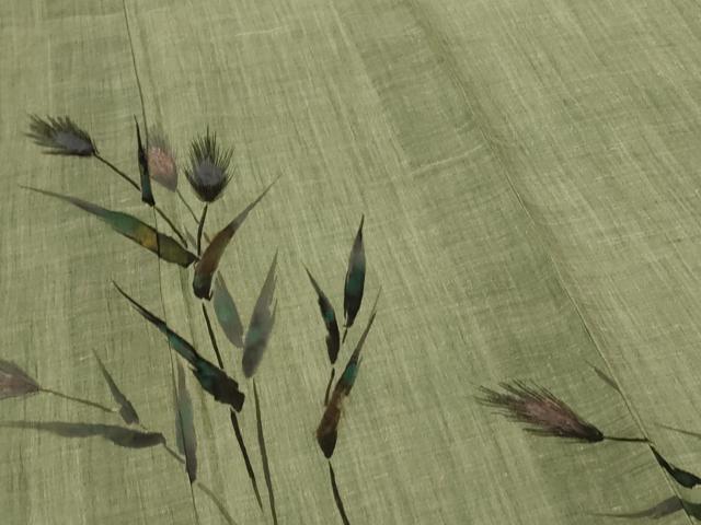 平和屋着物＊夏物 小千谷ちぢみ 訪問着 作家物 手描き 草花文 麻 逸品 AABG2021jd