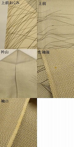 平和屋着物＊夏物 本場大島紬 夏大島 訪問着 芝草文 正絹 逸品 AABG2023jd