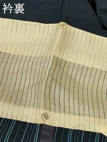 平和屋着物＊夏物 色無地 縦絽 変わり縞 褐返色 正絹 逸品 AABG2031jd