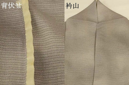 平和屋着物＊夏物 小紋 絽縮緬 霞文 暈し染め 正絹 逸品 AABG2046jd