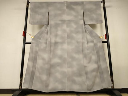 平和屋着物＊夏物 小紋 絽縮緬 霞文 暈し染め 正絹 逸品 AABG2046jd