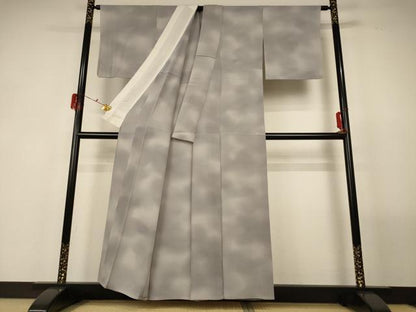 平和屋着物＊夏物 小紋 絽縮緬 霞文 暈し染め 正絹 逸品 AABG2046jd