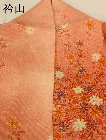 平和屋着物＊夏物 小紋 絽 草花文 暈し染め 正絹 逸品 AABG2053jd