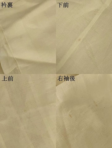 平和屋着物＊夏物 長襦袢 流水葉紋紗 象牙色 AABG2065jd