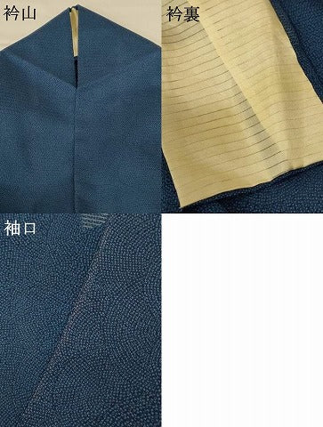 平和屋着物＊夏物 江戸小紋 絽 鮫小紋柄 正絹 逸品 AABG2075jd