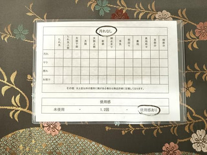 平和屋着物◎六通柄京袋帯　唐織　枝垂れ花文　金糸　AABG2122yx