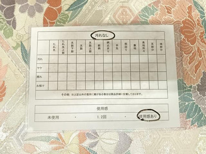 平和屋着物◎佐賀錦　六通柄袋帯　格天井花鳥図　銀糸　正絹　逸品　AABG2485yx