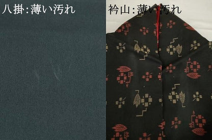 平和屋着物■アンティーク　大正ロマン　紬　草花文　黒地　正絹　逸品　AABG2618ck