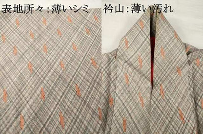 平和屋着物■アンティーク　大正ロマン　小紋　紬地　抽象文様　正絹　逸品　AABG2622ck