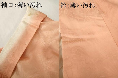 平和屋着物■上質な小紋 青海波地紋 暈し染め 正絹 逸品 AABG2629ck