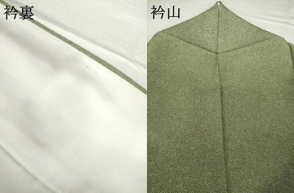 平和屋着物●洗える最高級着物　＜英＞はなぶさ謹製　江戸小紋　鮫小紋柄　AABG2637ck