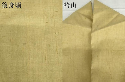 平和屋着物●染織の名門　しょうざん  生紬　色無地　枯草色　ロング丈　正絹　逸品　AABG2700cs