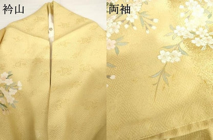 平和屋着物●訪問着　駒刺繍　枝垂れ桜文　暈し染め　金彩　正絹　逸品　AABG2711cs