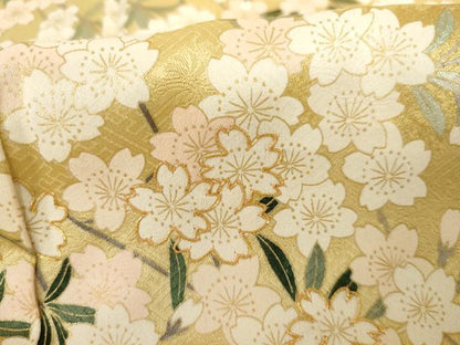 平和屋着物●訪問着　駒刺繍　枝垂れ桜文　暈し染め　金彩　正絹　逸品　AABG2711cs