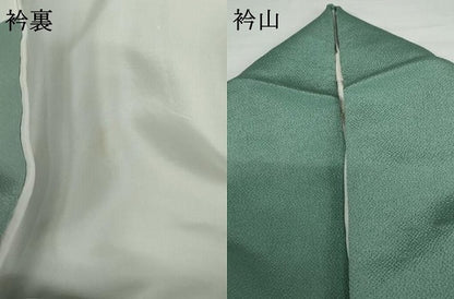 平和屋着物●訪問着 友禅 風景梅松文 暈し染め 鬼しぼ縮緬 正絹 逸品 AABG2784cs