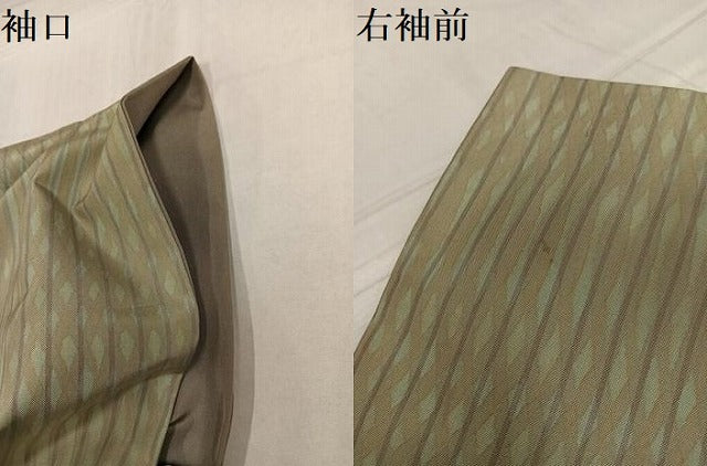 平和屋着物●上質な小紋 紬地 間道 正絹 逸品 AABG2856ph