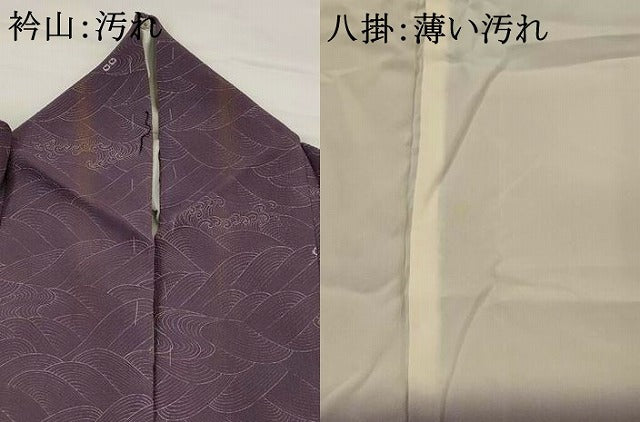 平和屋着物■上質な小紋 立波文 正絹 逸品 AABG2888st