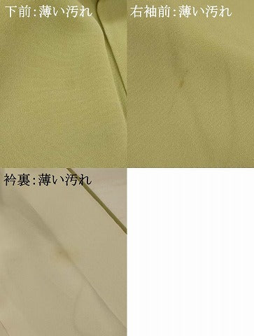 平和屋着物■豪華色留袖 泰常 刺繍 遠山飛鶴花松文 暈し染め 金糸 金彩 正絹 逸品 AABG2913st