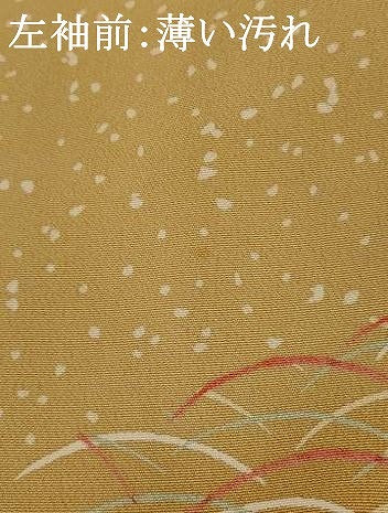 平和屋着物■訪問着　芝文　暈し染め　正絹　逸品　未使用　AABG2914st