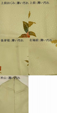 平和屋着物■訪問着 草花文 正絹 逸品 AABG2938st