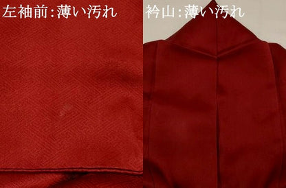 平和屋着物■訪問着 竹屋町刺繍 草花文 暈し染め 金銀糸 正絹 逸品 AABG2956st