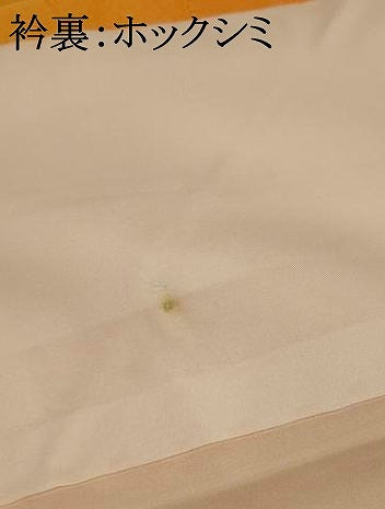 平和屋着物■上質な小紋 飛鶴地紋 暈し染め 正絹 逸品 AABG2994st