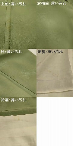 平和屋着物■訪問着　草葉文　暈し染め　正絹　逸品　AABG2997st