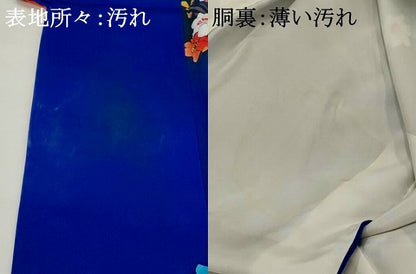 平和屋着物■訪問着　草花文　暈し染め　正絹　逸品　AABG2999st