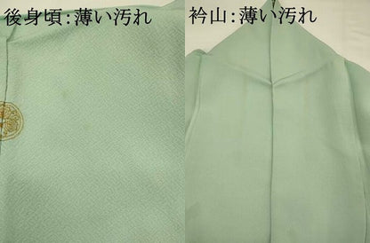 平和屋着物■豪華色留袖 刺繍 風景文 金銀糸 正絹 逸品 AABG3013st