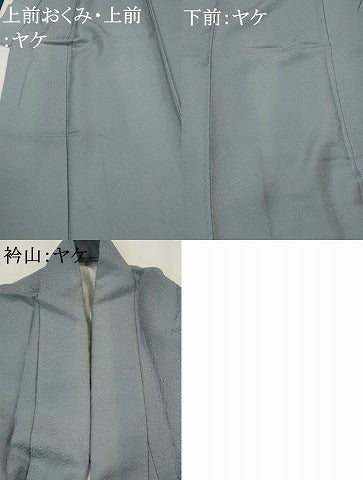 平和屋着物■上質な色無地　紋意匠　浅縹色　正絹　逸品　AABG3073st