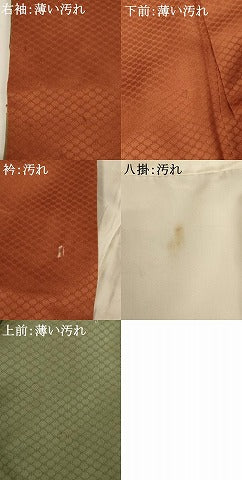 平和屋着物■訪問着　刺繍　地紙花文　暈し染め　正絹　逸品　AABG3101ja