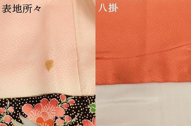 平和屋着物[]七五三　女の子　３歳　祝着　一つ身　駒刺繍　地紙花鳥文　雉　暈し染め　金彩　洗える着物　AABG3179ja