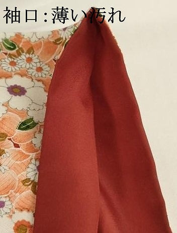 平和屋着物■小紋 花づくし文 洗える着物 AABG3300ja