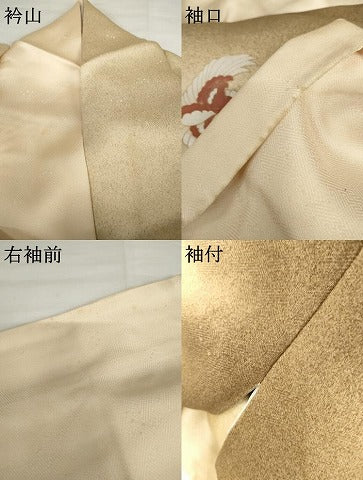 平和屋着物●訪問着 鳳凰更紗花文 暈し染め 金彩 正絹 逸品 AABG3504cs