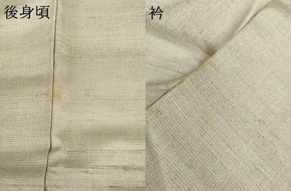 平和屋着物●インド・アッサム　野蚕糸　手織　ムガシルク　紬　色無地　霞色　正絹　逸品　AABG3512cs