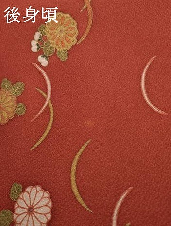 平和屋着物●訪問着　花蝶芝文　暈し染め　正絹　逸品　未使用　AABG3533cs