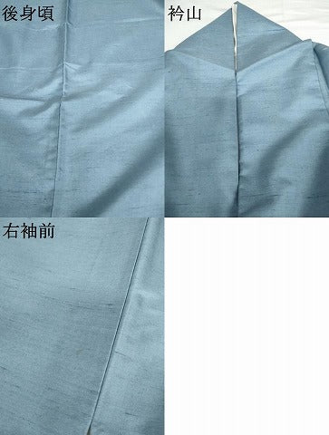 平和屋着物●本加賀友禅作家　成竹登茂男　訪問着　白山紬地　枝花文　正絹　逸品　AABG3569cs