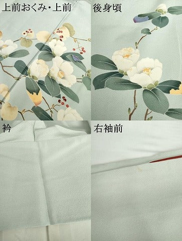 平和屋着物●訪問着　友禅　枝花文　正絹　逸品　AABG3623cs