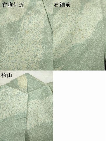 平和屋着物●石川県指定無形文化財　牛首紬　白山工房　手織り　訪問着　流水文　正絹　逸品　AABG3641ck