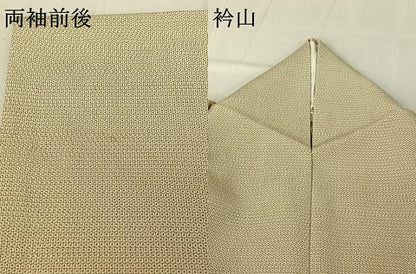 平和屋着物▽本塩沢 訪問着 単衣 110亀甲 草葉文 正絹 逸品 AABG3764jh
