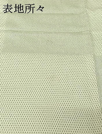 平和屋着物▽本塩沢 単衣 110亀甲 蚊絣 正絹 逸品 AABG3833jh