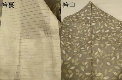 平和屋着物＊夏物 訪問着 紗 葉尽くし 正絹 逸品 AABG3853jd