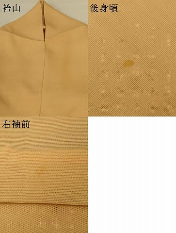 平和屋着物＊夏物 訪問着 絽 刺繍 草花文 暈し染め 金彩 高島屋扱い ロング丈 正絹 逸品 AABG3867jd