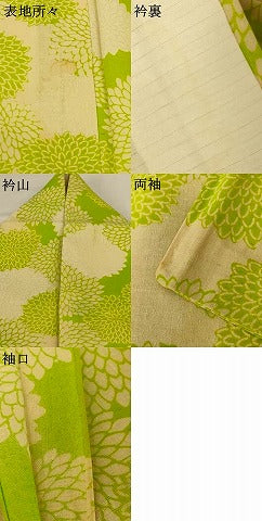 平和屋着物＊夏物 小紋 紗 菊 正絹 逸品 AABG3879jd