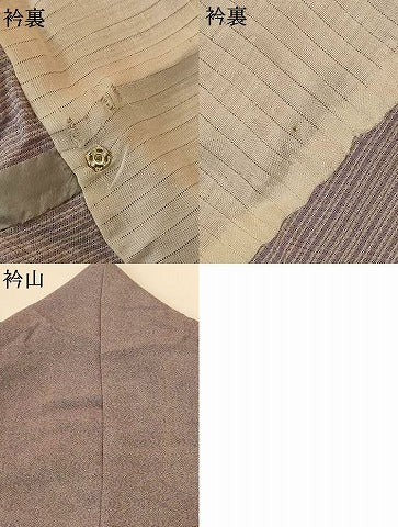 平和屋着物＊夏物　江戸小紋　変わり絽　鮫小紋柄　正絹　逸品　AABG3901jd